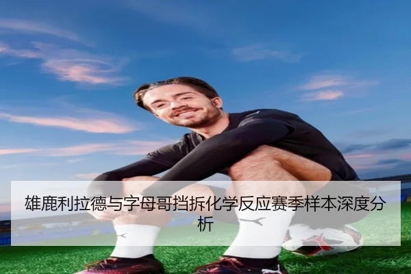 雄鹿利拉德与字母哥挡拆化学反应赛季样本深度分析